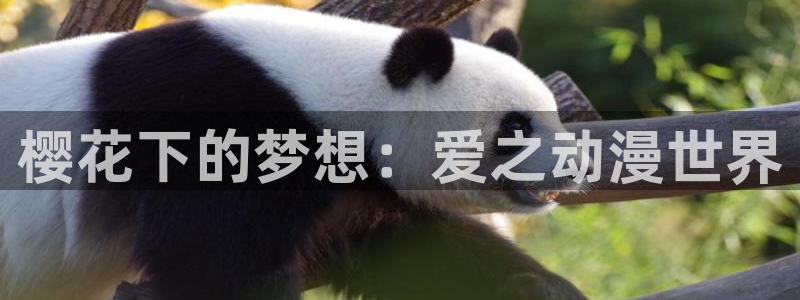 囧次元官方版