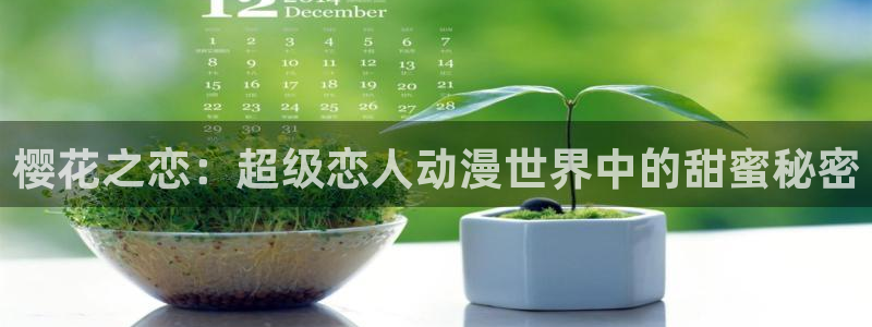 囧次元老版本