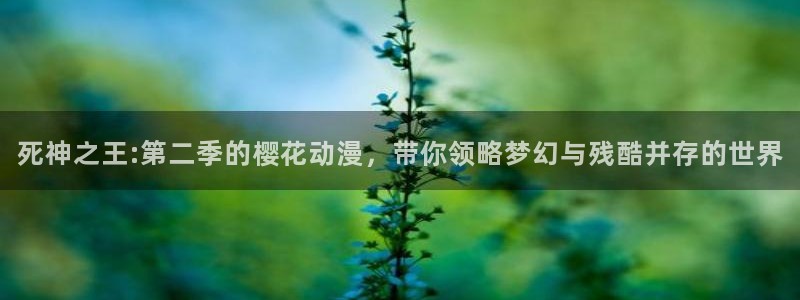 囧次元官网版入口