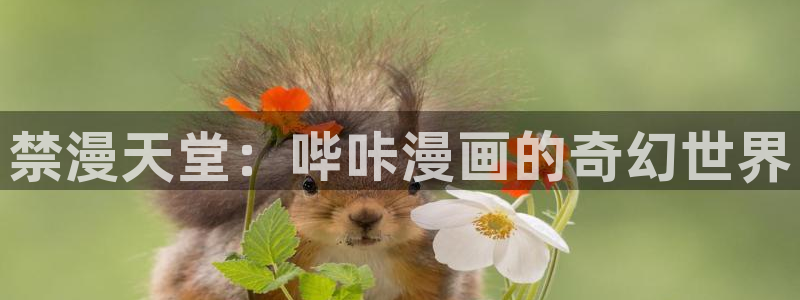 囧 次 元
