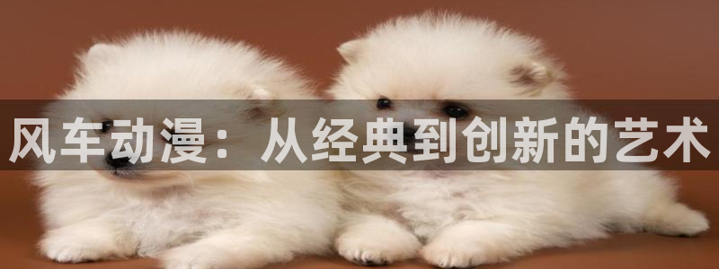 囧次元官网官方入门网站