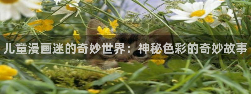 囧次元下载官方app
