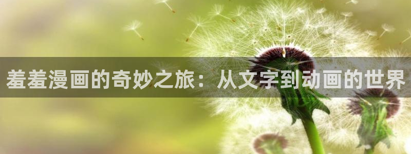 囧次元官方官网入口最新
