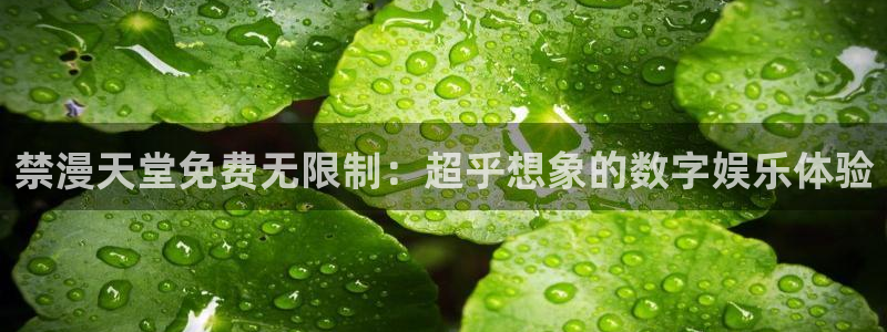 b次元官网版