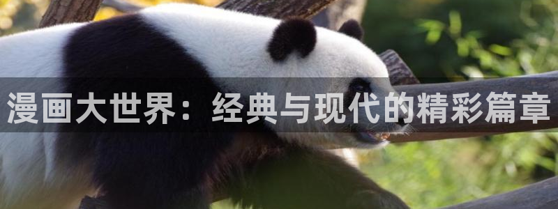 囧次元官网入口老版本