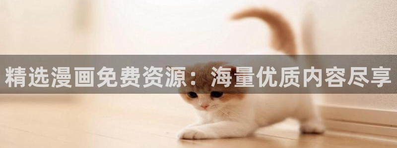 囧次元下载免费版