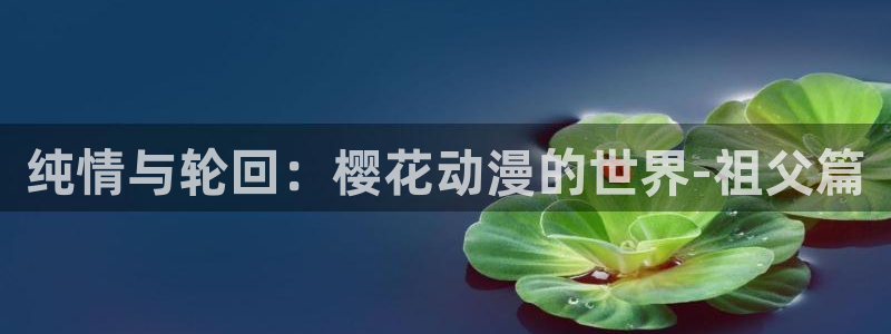囧 次元