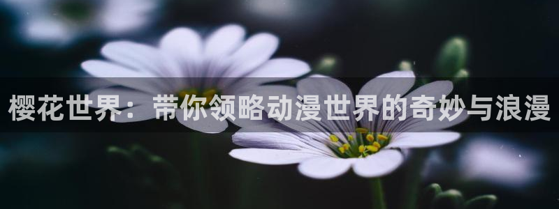 囧次元app入口