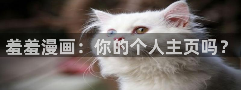 囧次元安卓版下载