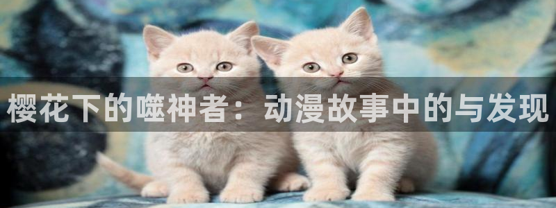 囧次元怎么用