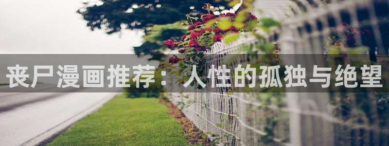 囧次元下载官网