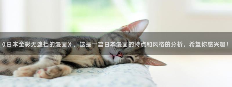 b次元官网首页入口