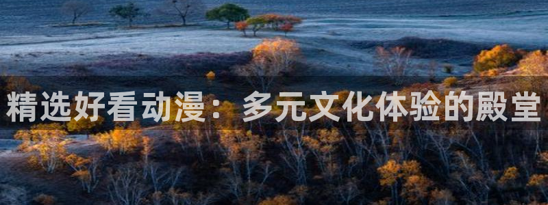 囧次元官方