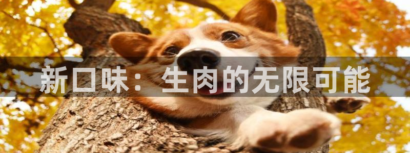 囧次元官方app下载