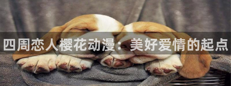 囧次元更新：四周恋人樱花动漫：美好爱情的起点