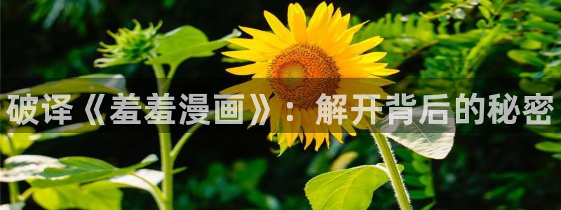 囧次元下载安装：破译《羞羞漫画》：解开背后的秘密