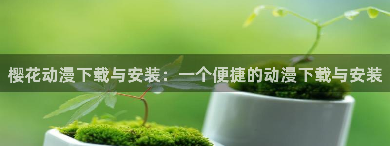 囧次元：樱花动漫下载与安装：一个便捷的动漫下载与安装