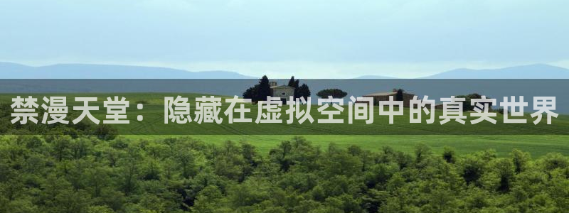 囧次元正版官方网址：禁漫天堂：隐藏在虚拟空间中的真实世界