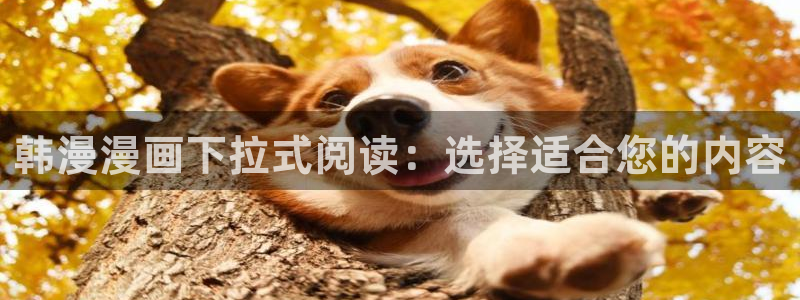 囧次元最新：韩漫漫画下拉式阅读：选择适合您的内容