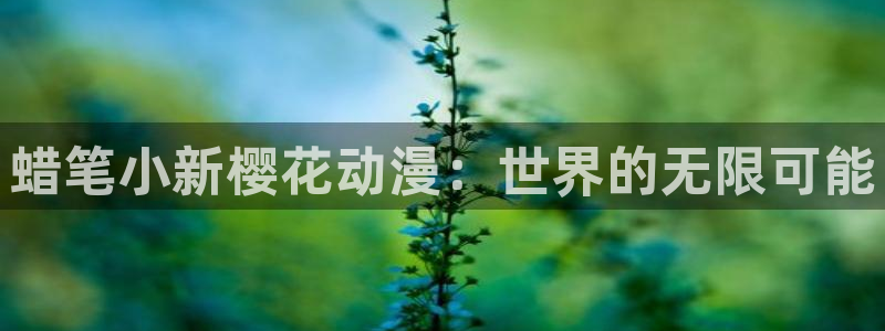囧次元下：蜡笔小新樱花动漫：世界的无限可能